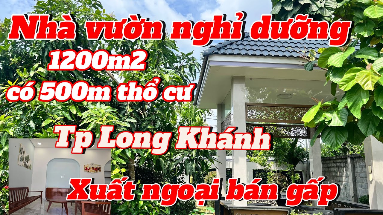 Nhà vườn Long Khánh. Chủ xuất ngoại bán gấp khu nghỉ dưỡng 1200m2 - 500m thổ cư.