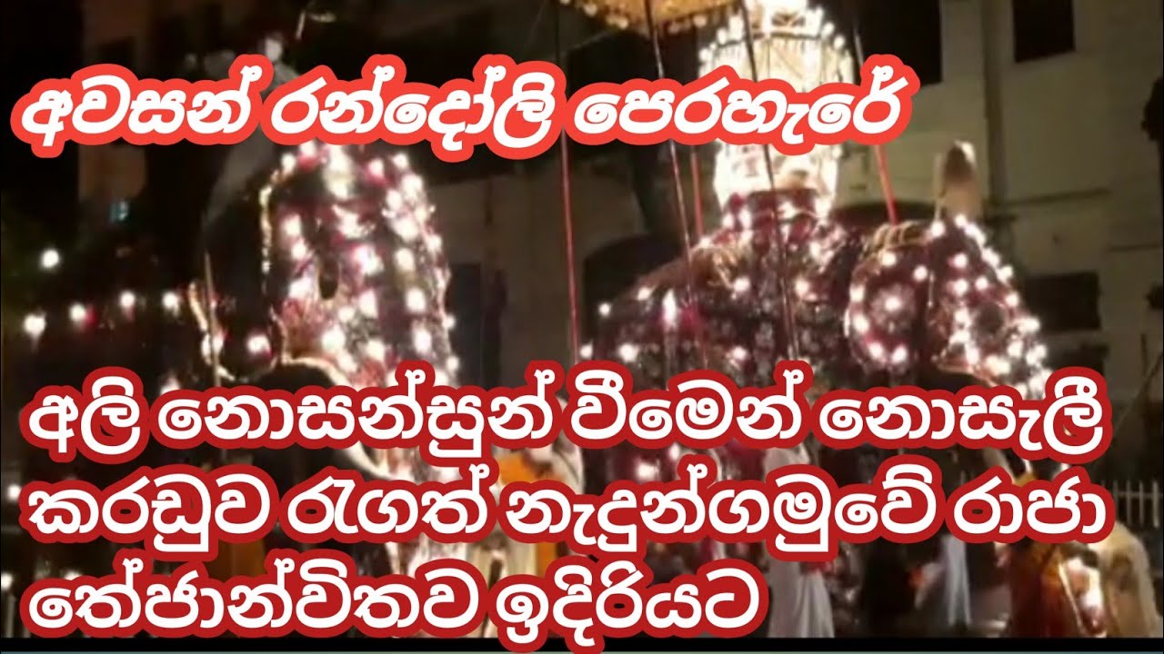 නැදුන්ගමුවේ රාජා මහ රන්දෝලියේ කරඬුව සුරක්ෂිතව වැඩම වූ හැටි