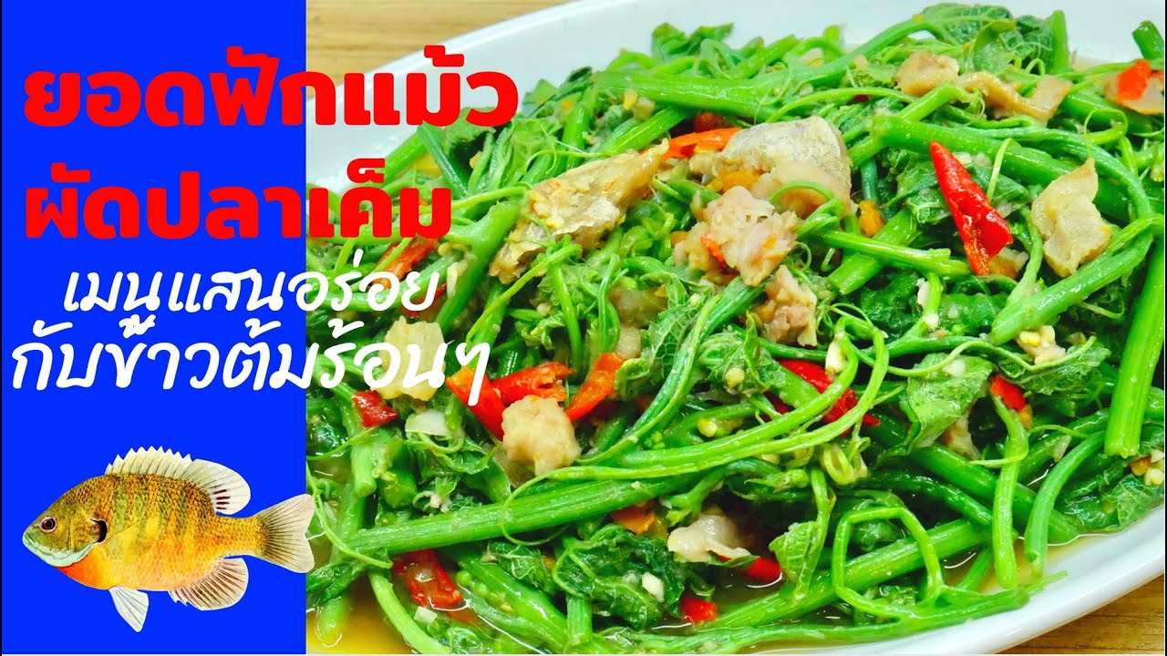 นายแทนเข้าครัว 605 | ยอดฟักแม้วผัดปลาเค็ม | ยำกุนเชียงปลา กินกับข้าวต้มกุ๋ย | สไตล์นายแทน