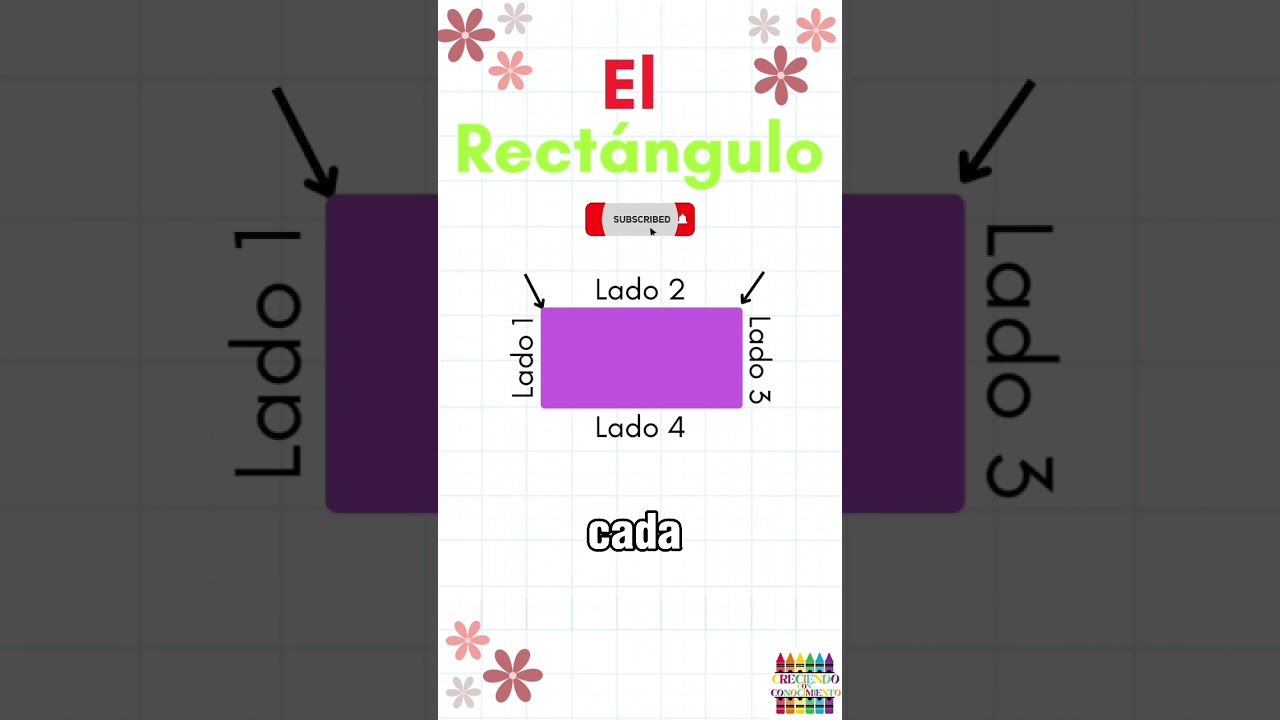 El Rect&aacute;ngulo #matem&aacute;ticas #school #tutorial #tutoriales #tutorials #educaci&oacute;n #escuela #shorts