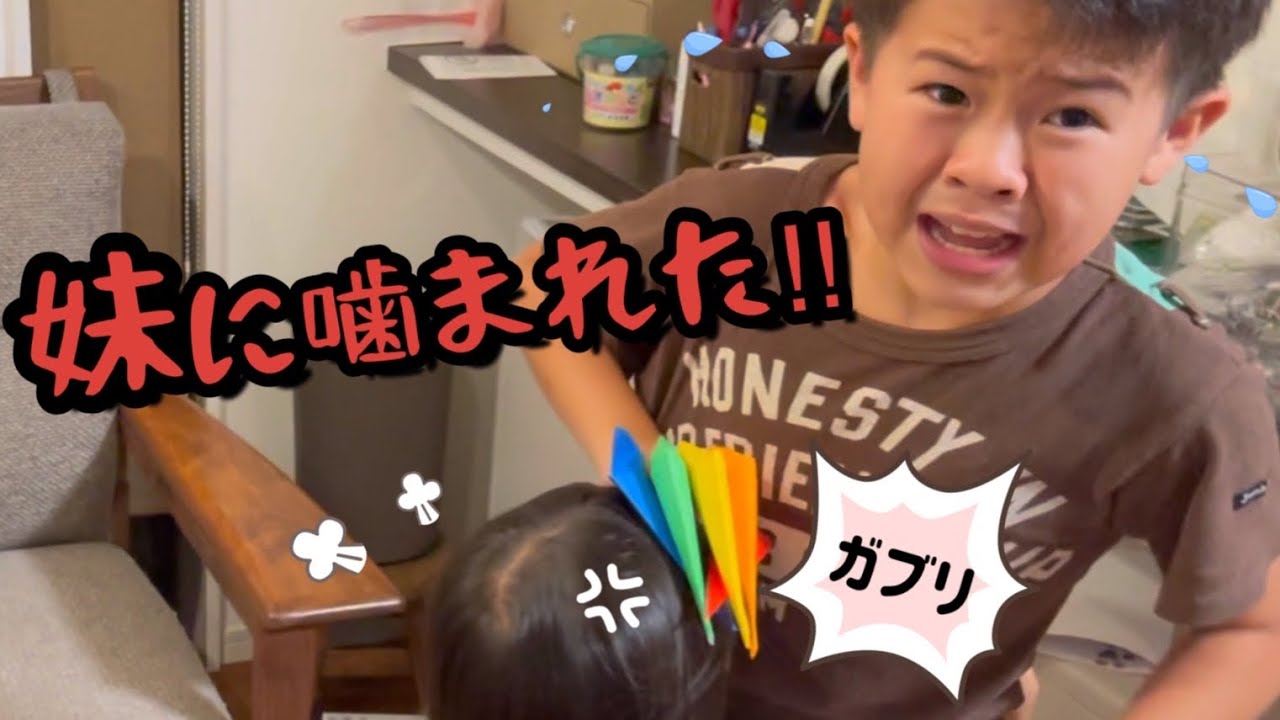 【日常】妹が噛んだ！お兄ちゃんの大事な折り紙が欲しくて兄妹喧嘩！お兄ちゃん泣いちゃった…その時妹は？
