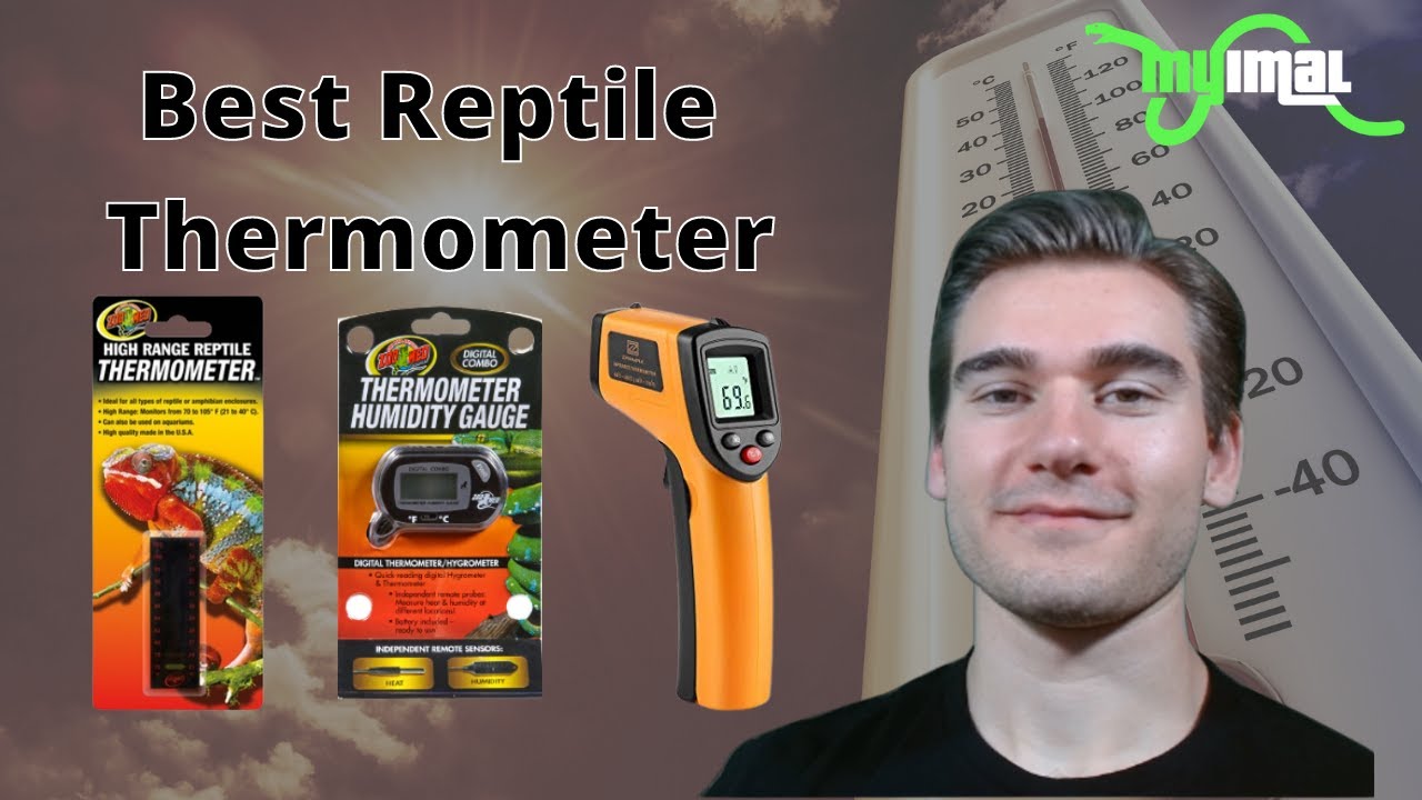 Best Type of Reptile Thermometer