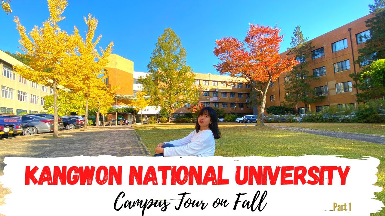 KANGWON NATIONAL UNIVERSITY CAMPUS TOUR ON FALL | UNIVERSITY IN SOUTH KOREA
