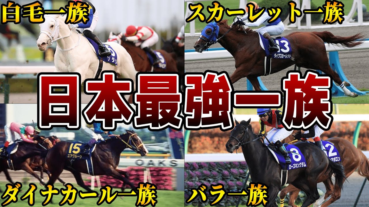 【厳選】競馬界に華麗に君臨する最強血統を解説【ソダシ】