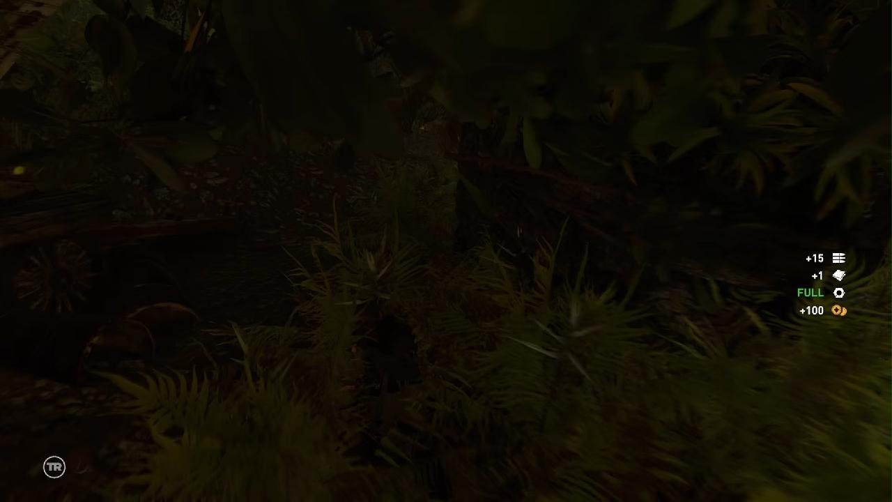 Shadow of the Tomb Raider_20260202022034