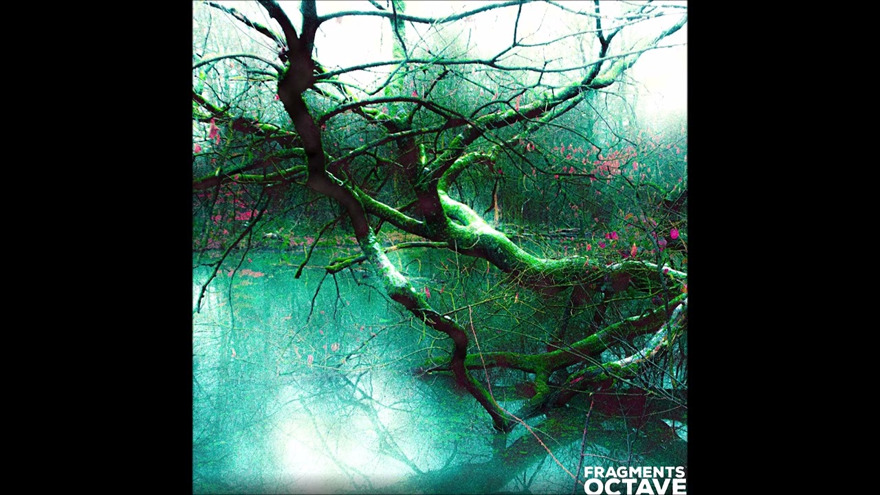 Octave (RO) - Stars War (Original Mix)