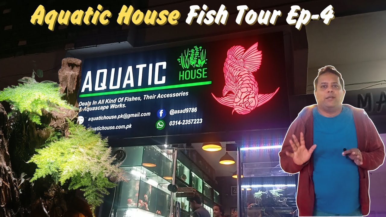 Aquatic House a new shipment arrived Ep-4 | Exotic Fish Tour | VortexWajji