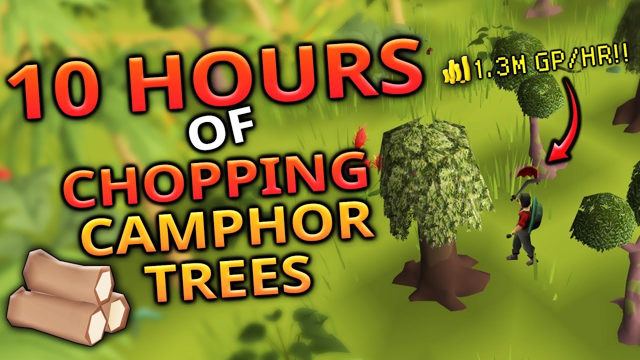 Chopping Camphor Logs - For 10 Hours (66 Woodcutting)
