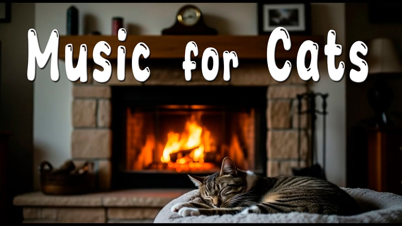 Calm Music for Cat 🐈‍⬛ Relaxing Cats Music for Sleep, Relax, Chill, Healing, Antistress