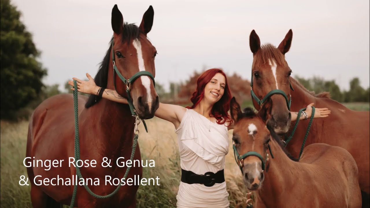 Genua & Ginger Rose 2025