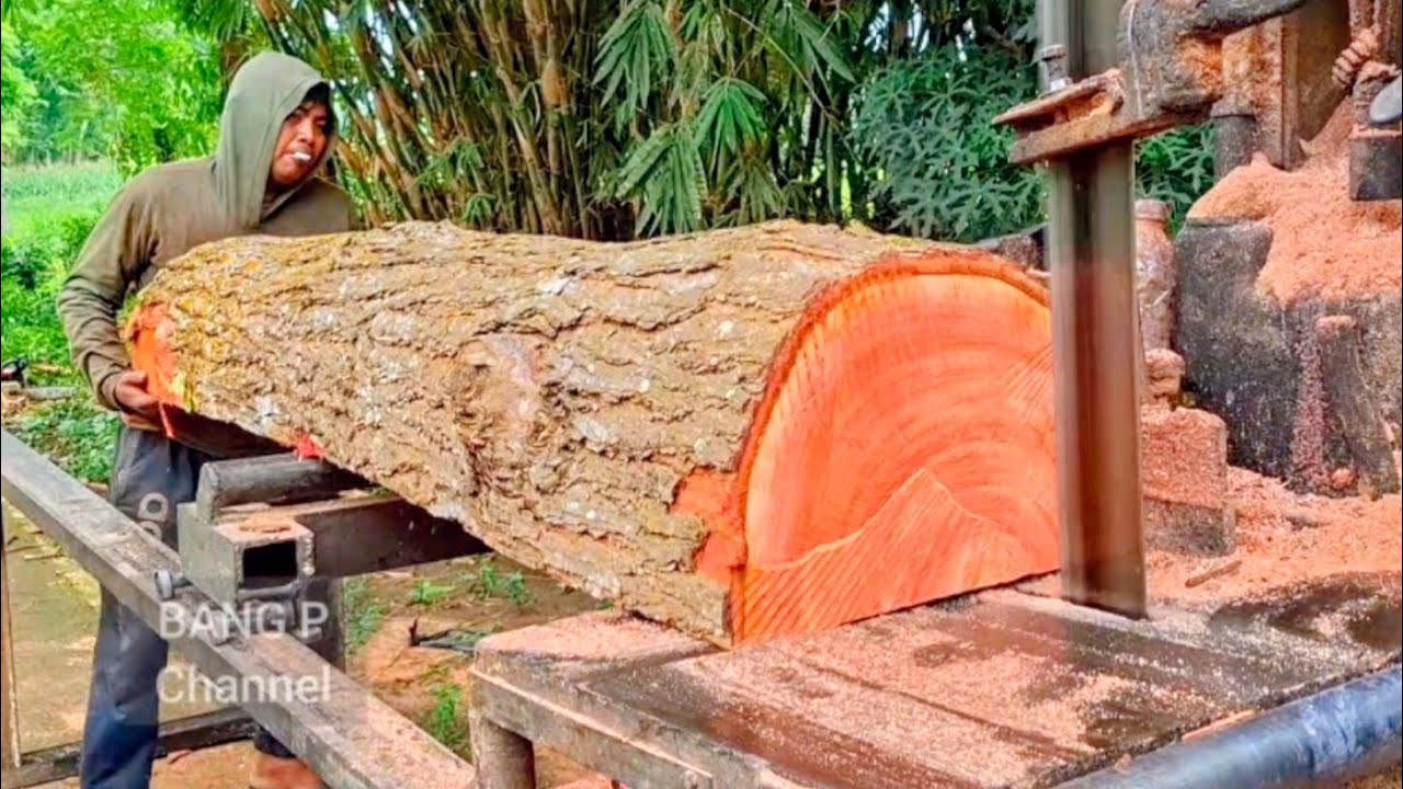 KAYU TUA BERUMUR !! Penggergajian kayu merah mahoni - mesin Bandsaw rakitan
