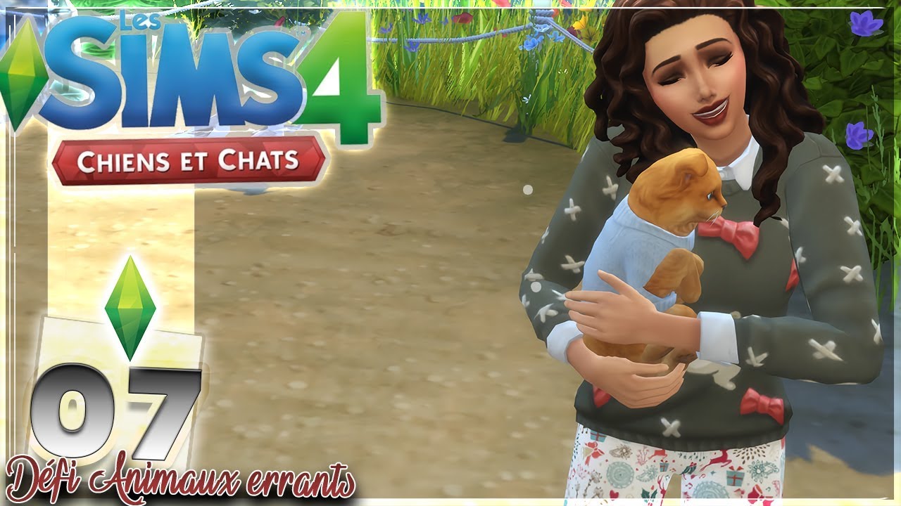 NOUS AVONS RÉUSSI ! #07 ~Défi animaux errants~ [Sims 4 Chiens & Chats]