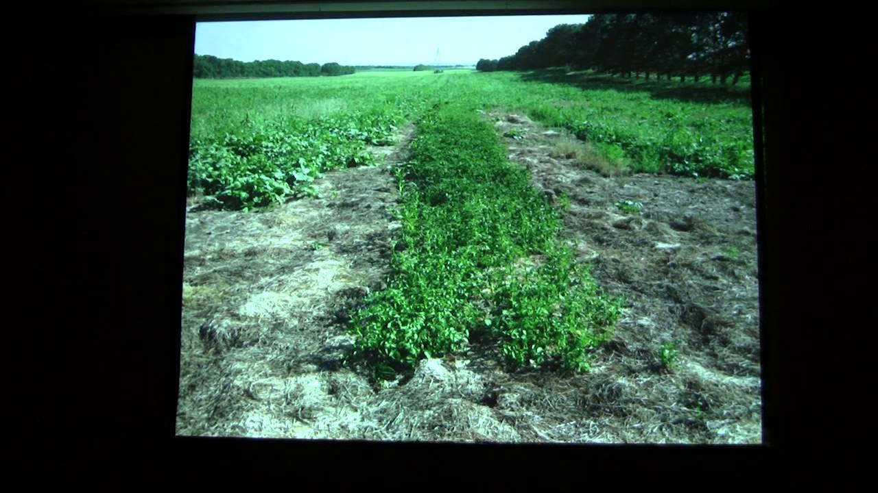 Paul Brown talks on why soil Health is important to farming