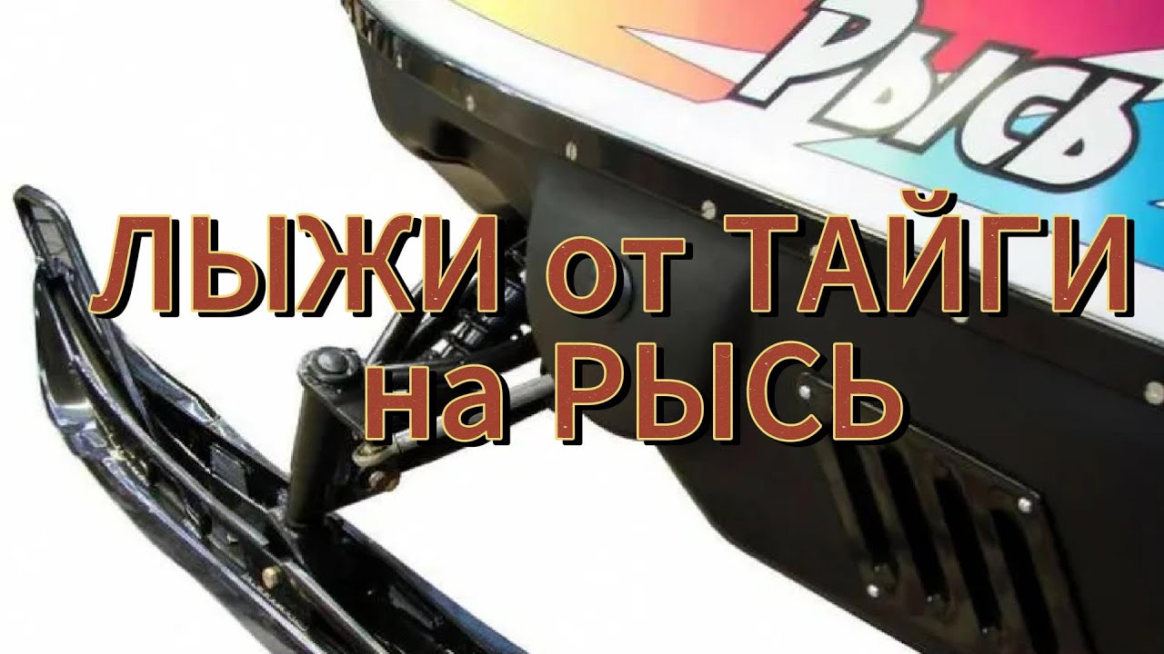 Тайга лыжи на Рысь