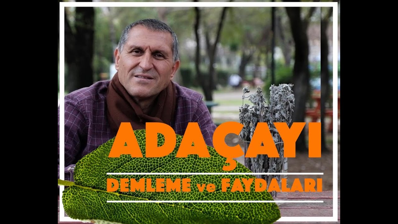 ADAÇAYI nasıl demlenir I Adaçayın faydaları I Ada çayı faydası ve etkileri