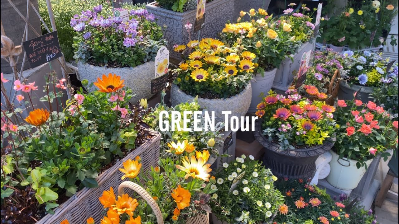 宿根草をセンス良く植えるアイディア満載！春のお花で最高のお庭はつくれる！お洒落で素敵すぎるガーデニングショップ | 金久|  観葉植物/園芸店巡り | 大阪/日根野
