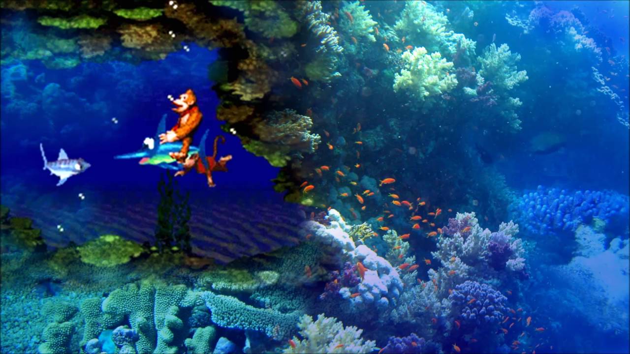 DKC 
