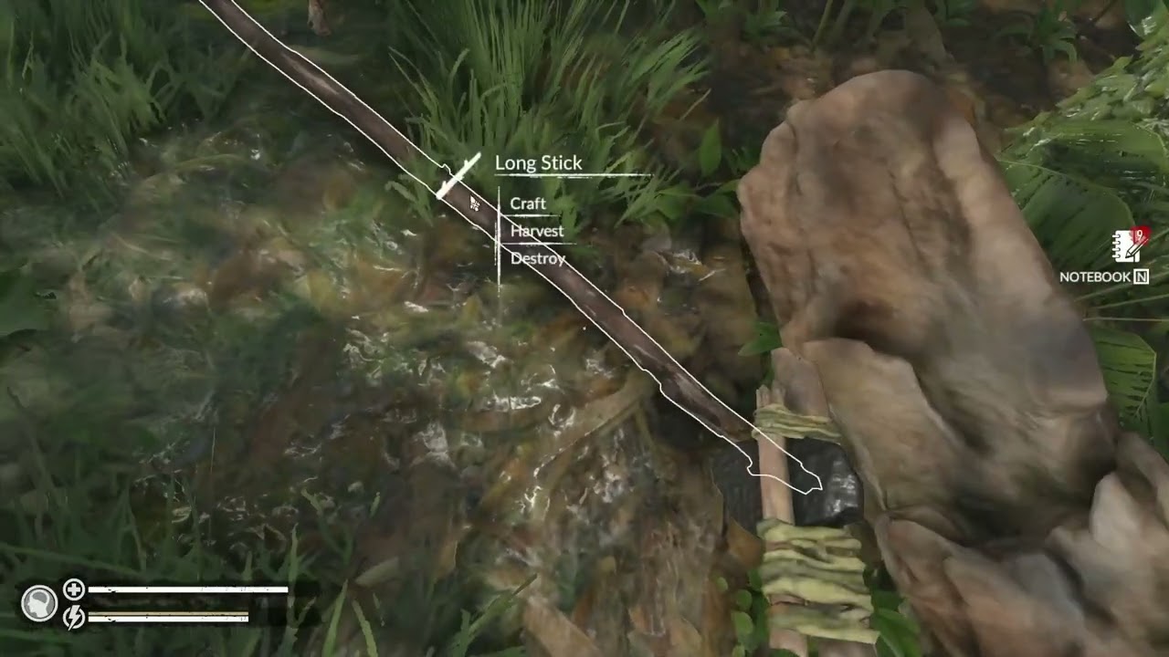 Green Hell Survival A New Beginning