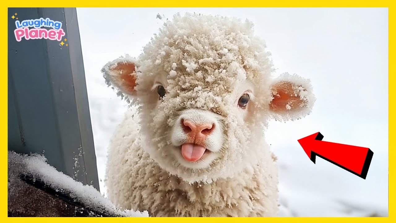 Когда милые детеныши животных превращаются в маленьких комиков 😂 Самое смешное видео с животными!