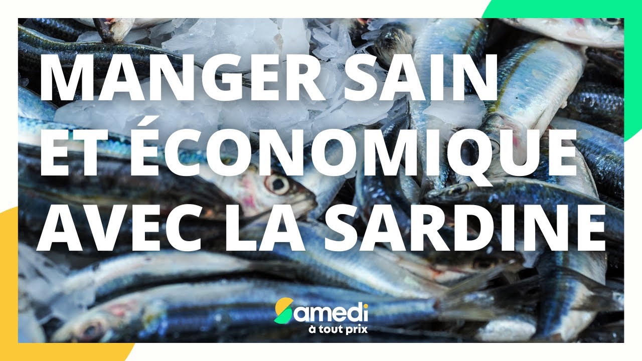 Manger sain et économique avec la sardine - Samedi à tout prix
