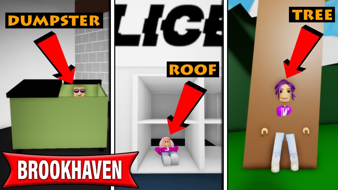 We played Hide and Seek in Brookhaven! | Roblox