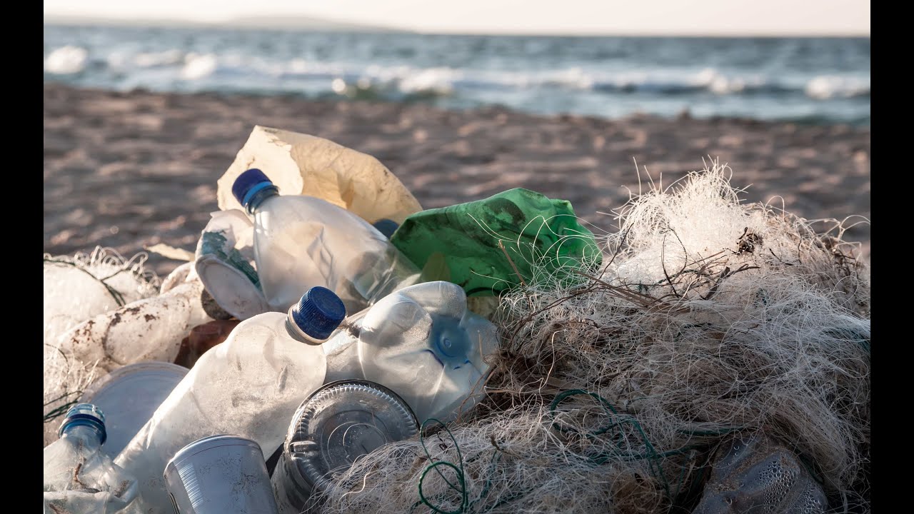 Plastic in Our Oceans