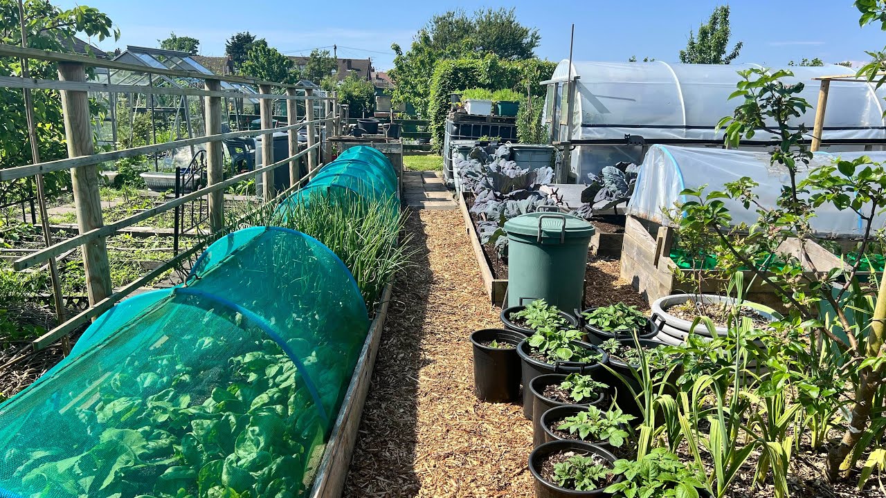 How I'm making gardening easier