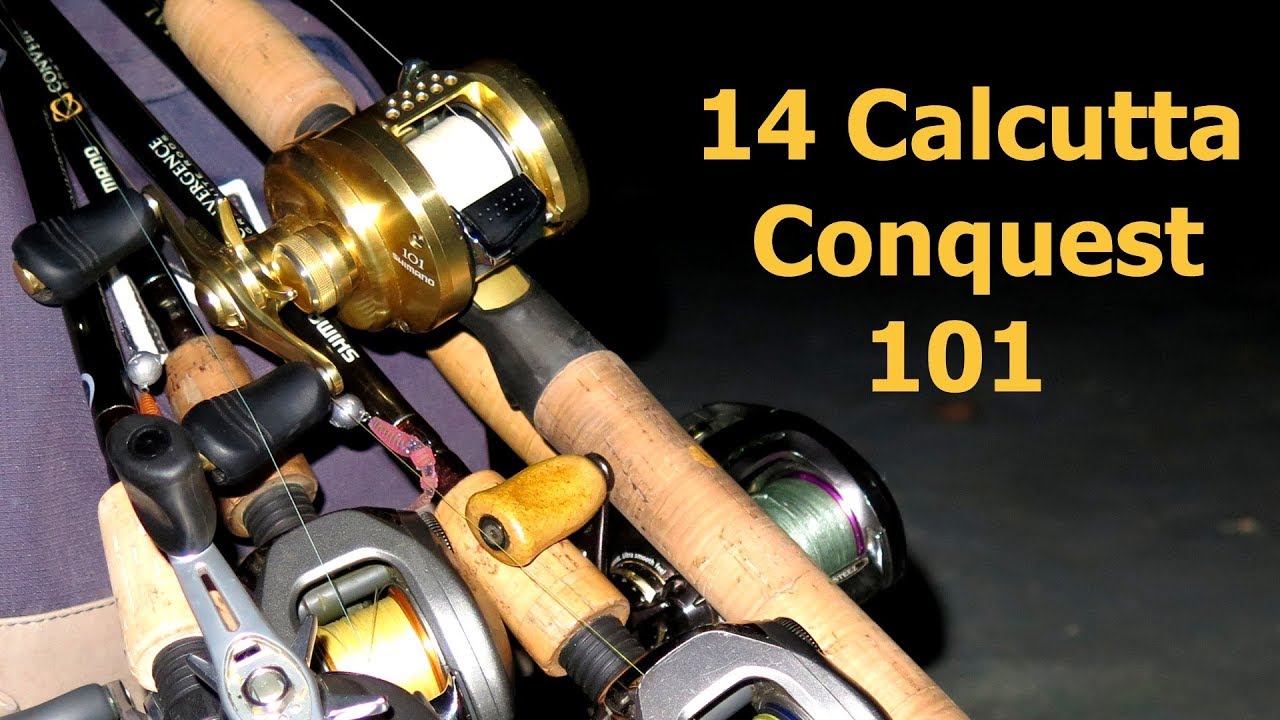 Shimano 14Calcutta Conquest 101, первая часть.