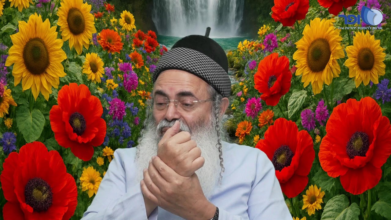 פרפראות וחדושים לפרשת משפטים תשפו חלק ו'