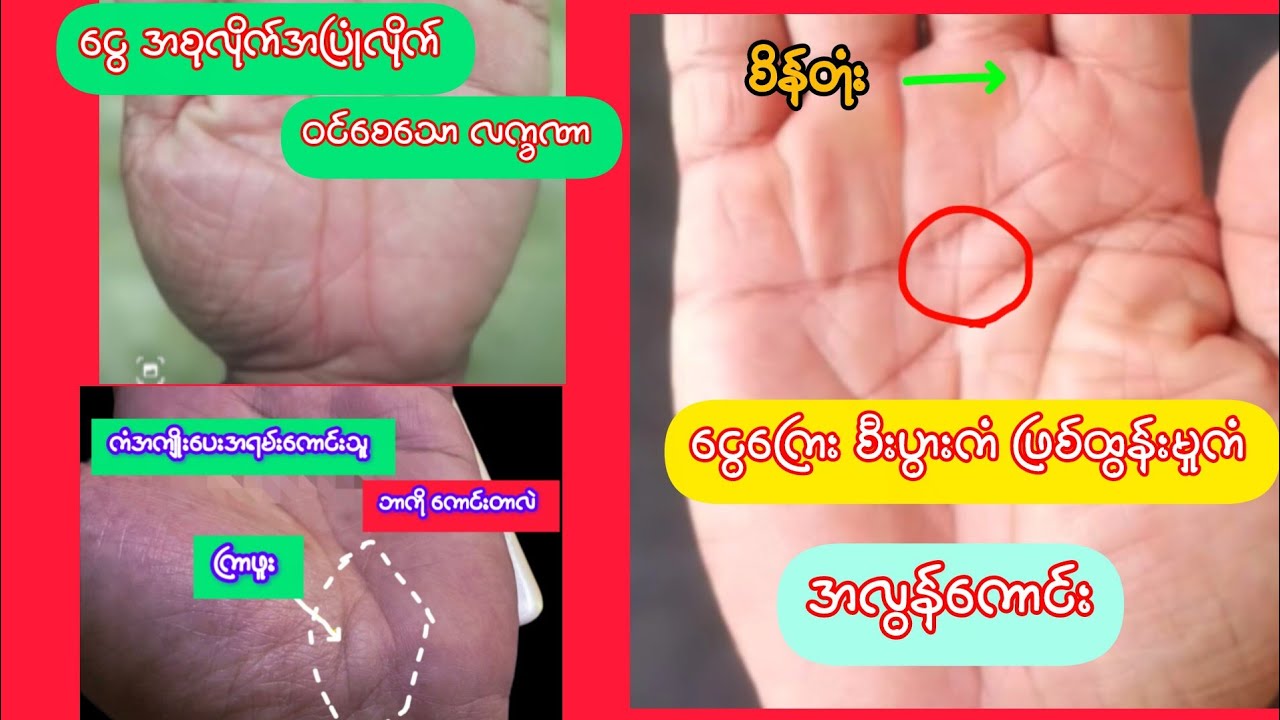 စိတ်တိုင်းကျ လှူဒါန်းနိုင်သလို မိမိကိုယ်တိုင်လဲပြည့်စုံချမ်းသာစွာ နေထိုင်ရမည့်သူ...  