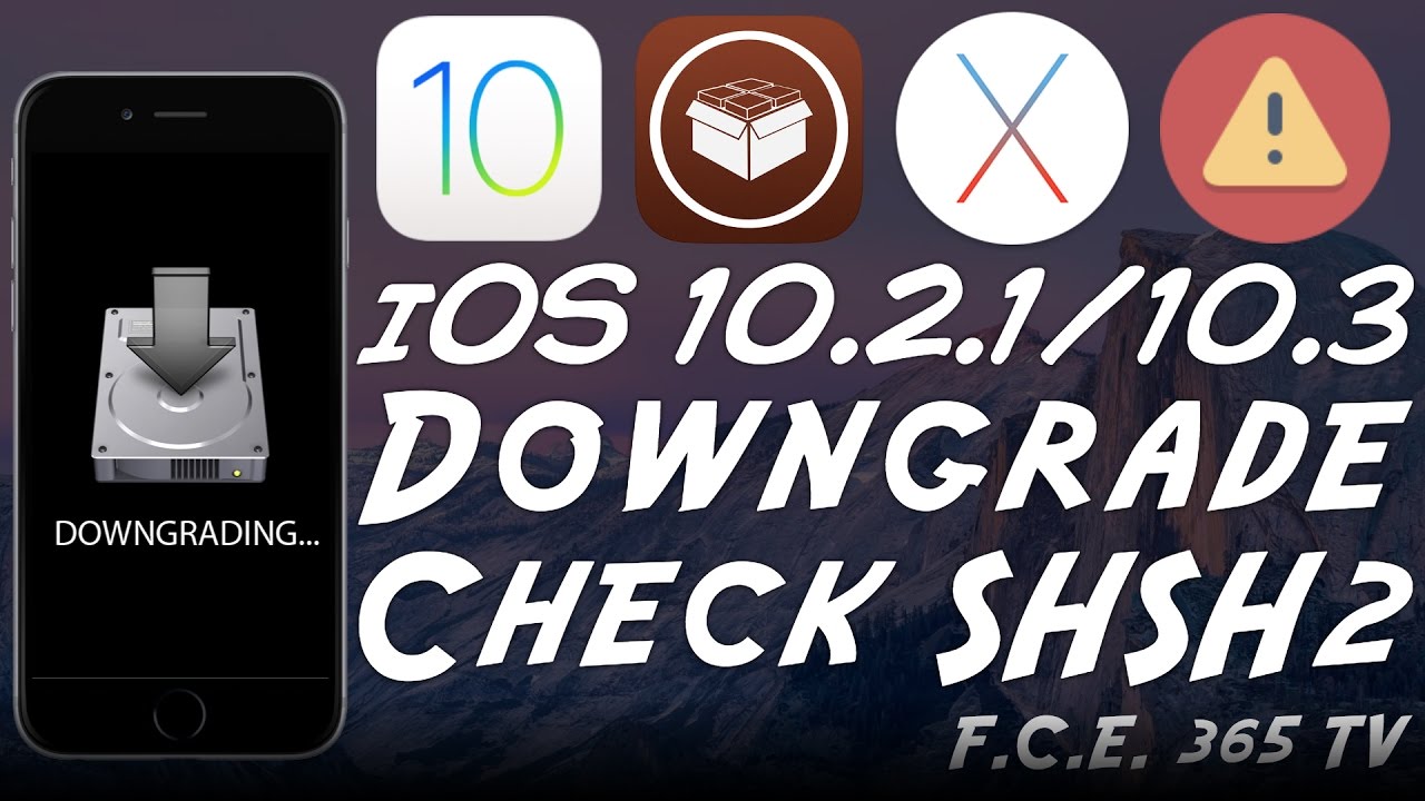 iOS 10.2.1 Downgrade - How to Check If SHSH2 Blobs Are Valid