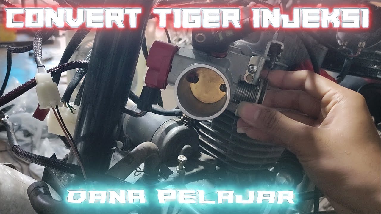 convert tiger Injeksi dana pelajar