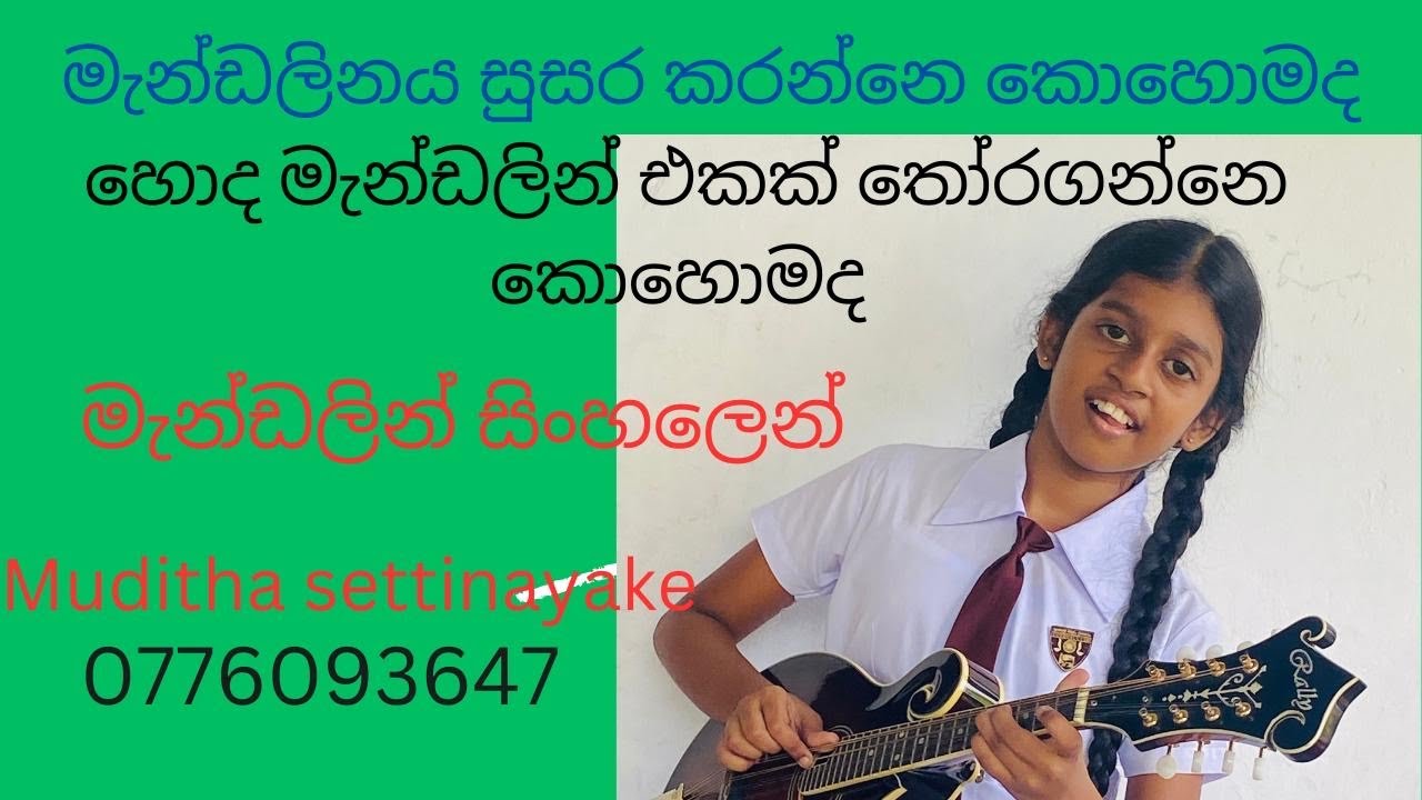 මැන්ඩලින් වාදකයන්ට වැදගත් වෙයි..