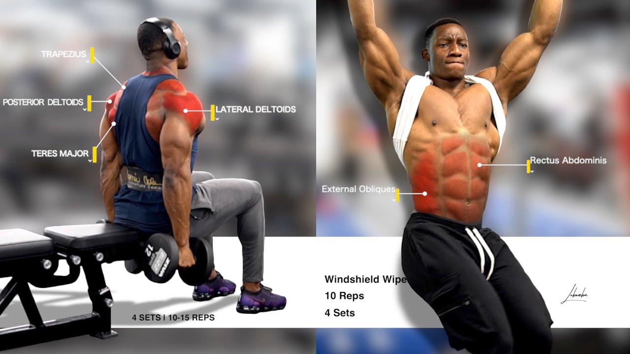 How To Highlight Muscles Anatomy for Videos | Tutorial