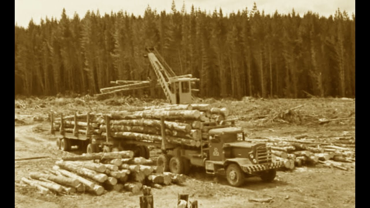 The KLC Pacific logging trucks