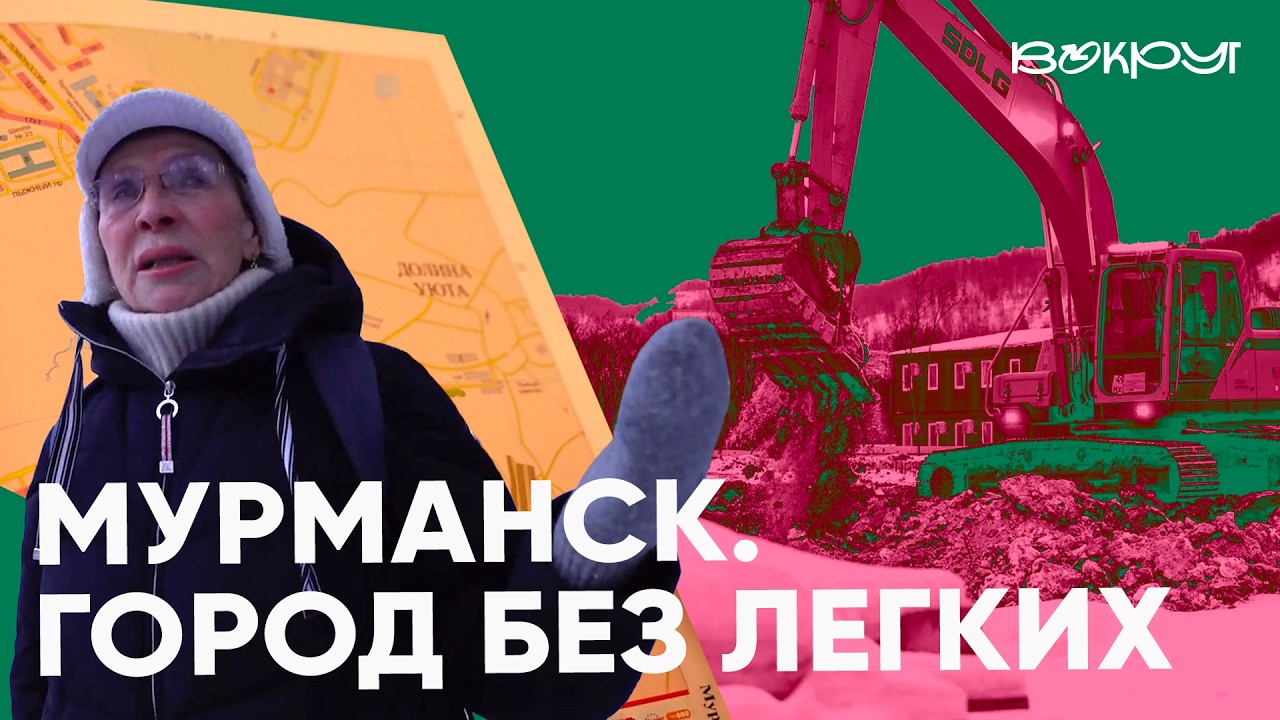 Неуютная долина. Как в Мурманске вырубают тысячи деревьев