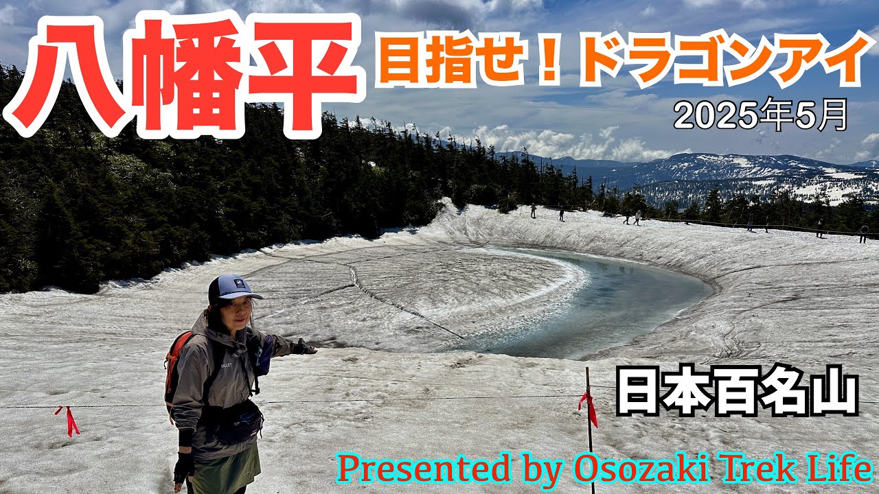 【八幡平 登山】この時期、話題沸騰のドラゴンアイに！ガマ沼や八幡沼、源太森も楽しめる周回コースで八幡平を満喫です　2025年5月