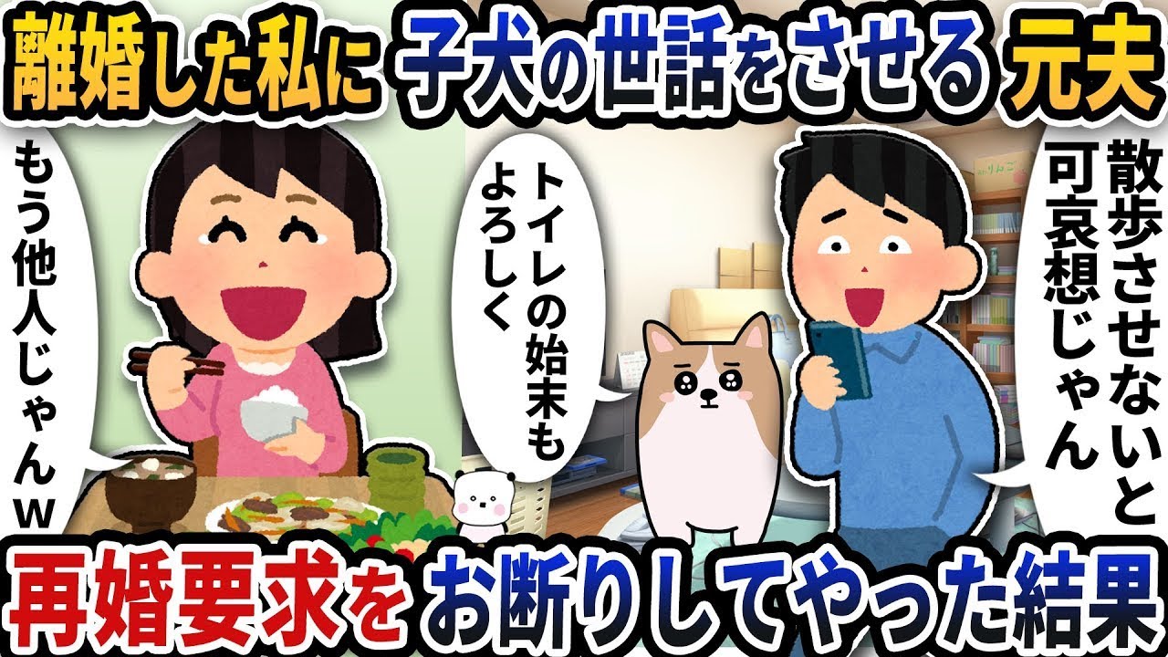 離婚した私に子犬の世話をさせる元夫に再婚を断った結果。