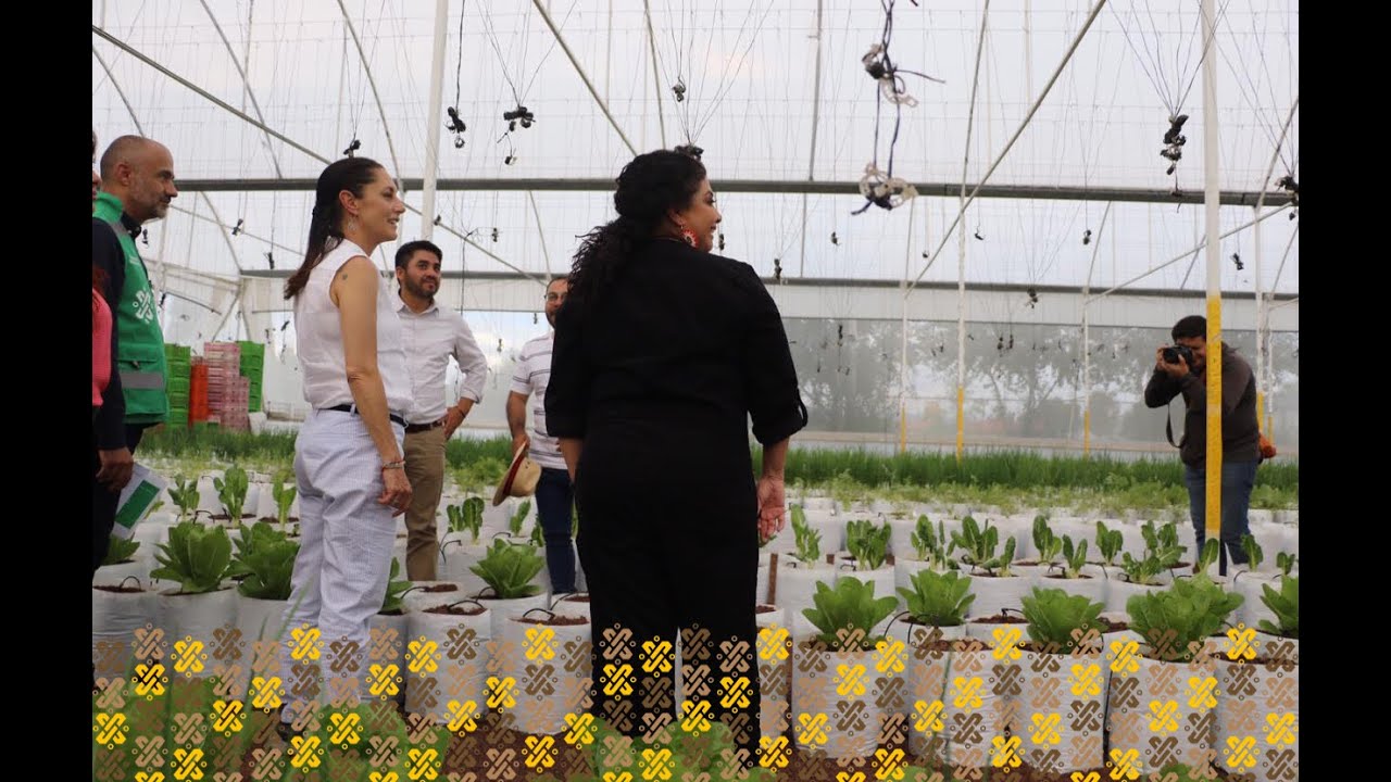 Proyecto de Transformación del Parque Cuitláhuac.