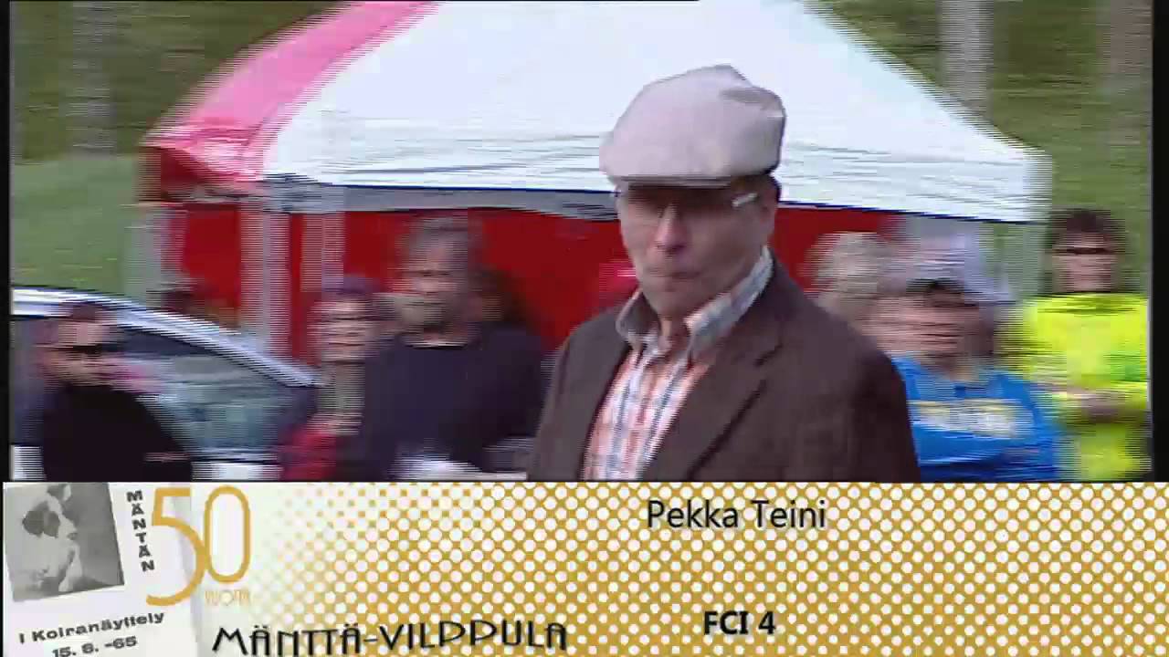 Mänttä-Vilppula 50v Koiranäyttely 31.5.2015