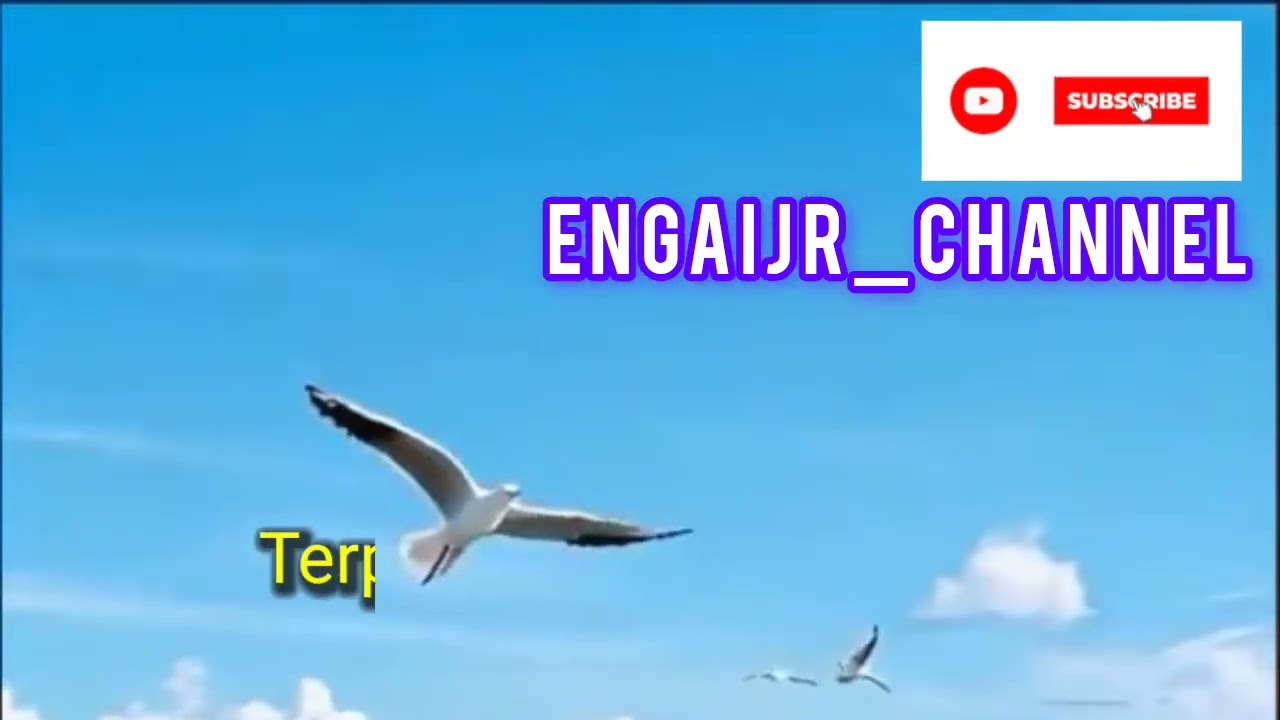 Terpaksa ku lepaskan..#lagumelayu  #galau