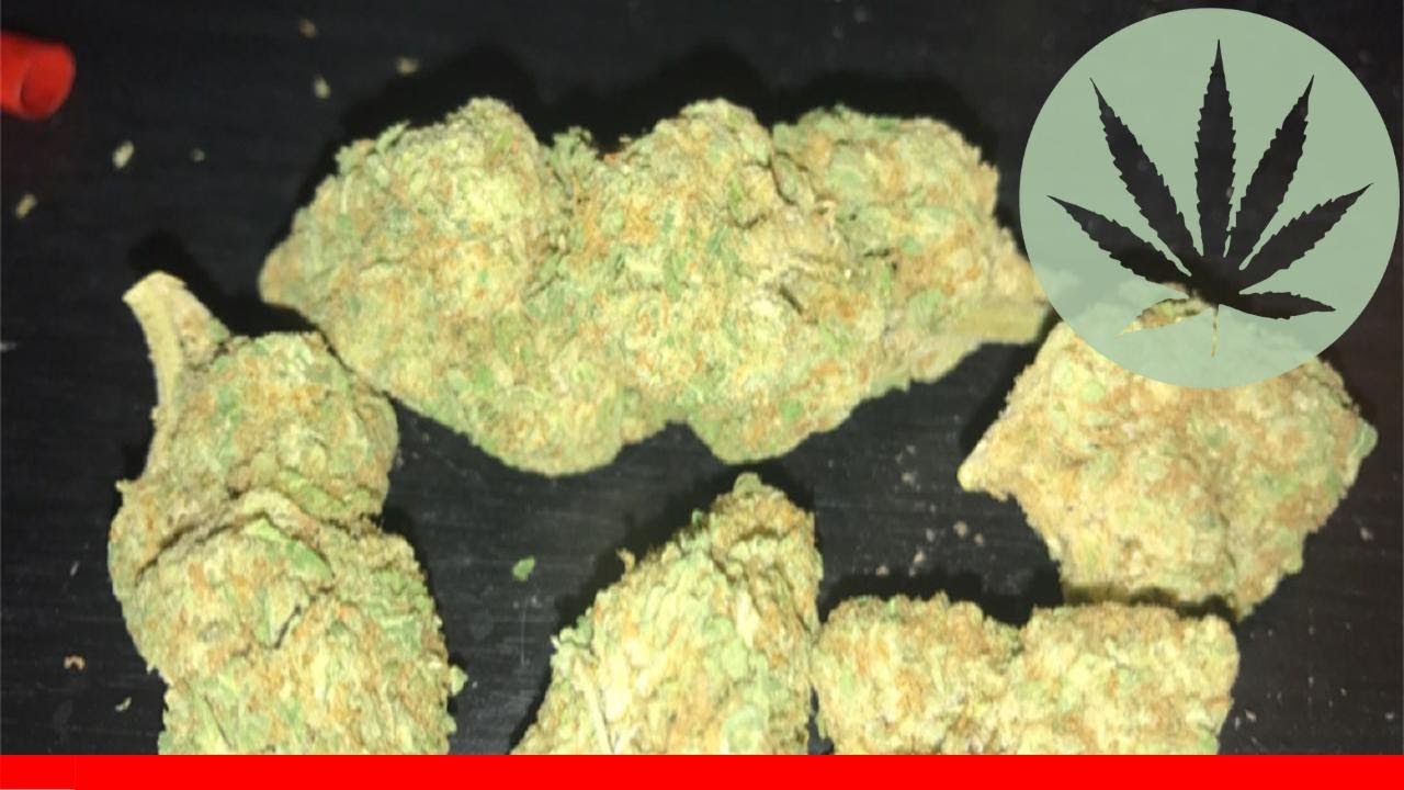 Blue Crack - All About This Strain