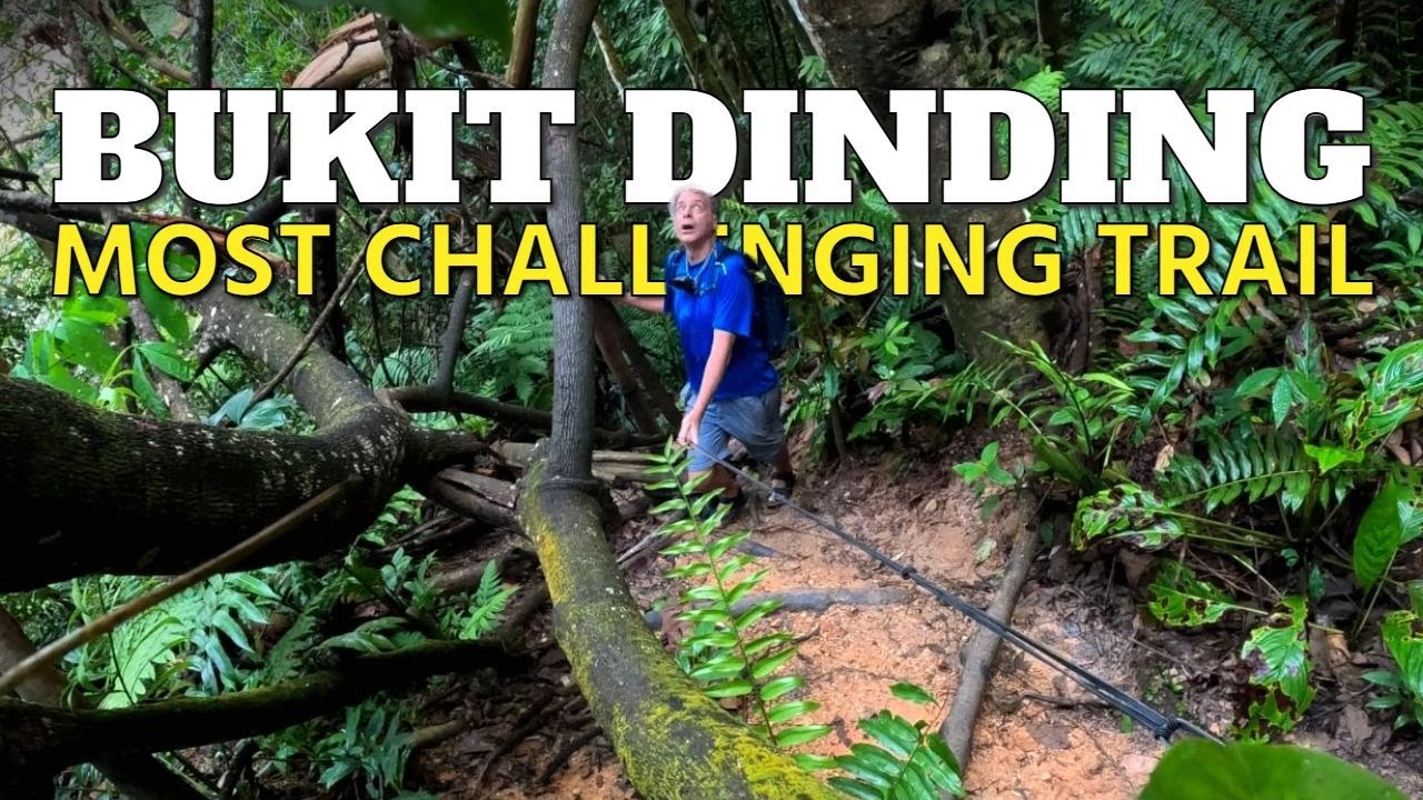 Conquering Mini-Tahan: The Most Challenging Trail in Bukit Dinding, Kuala Lumpur! 🌿🥾