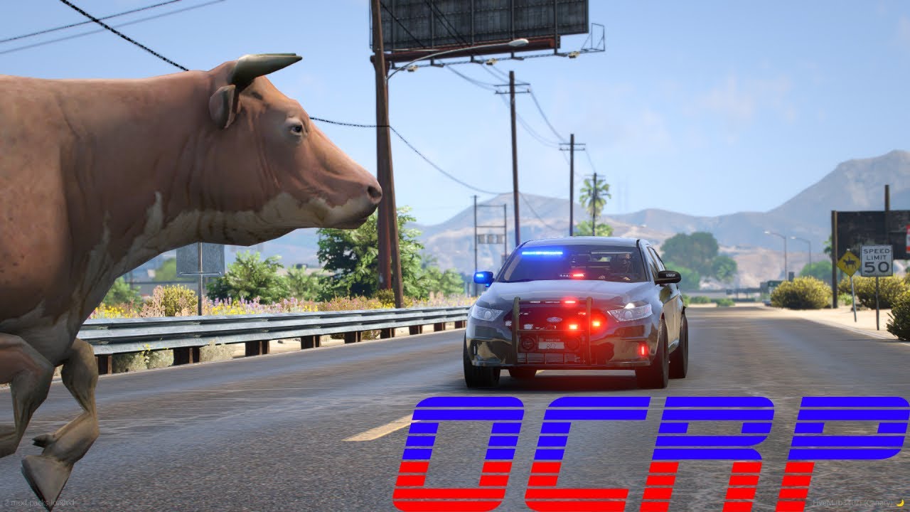 You Won’t Believe What This Cow Did During a Police Chase In GTA RP | OCRP | Ft. @Buggs@CivRyan