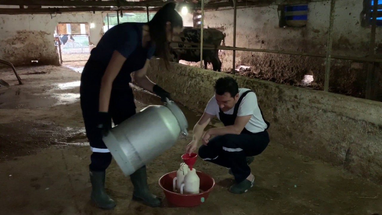 Murat Kurşun çiftlikte yaşamaya başladı