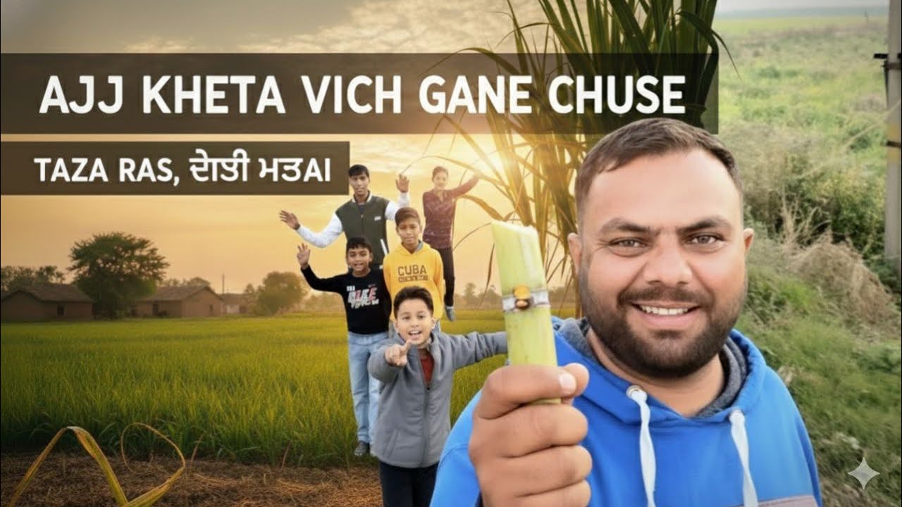 Ajj kheta vich ganne chusna