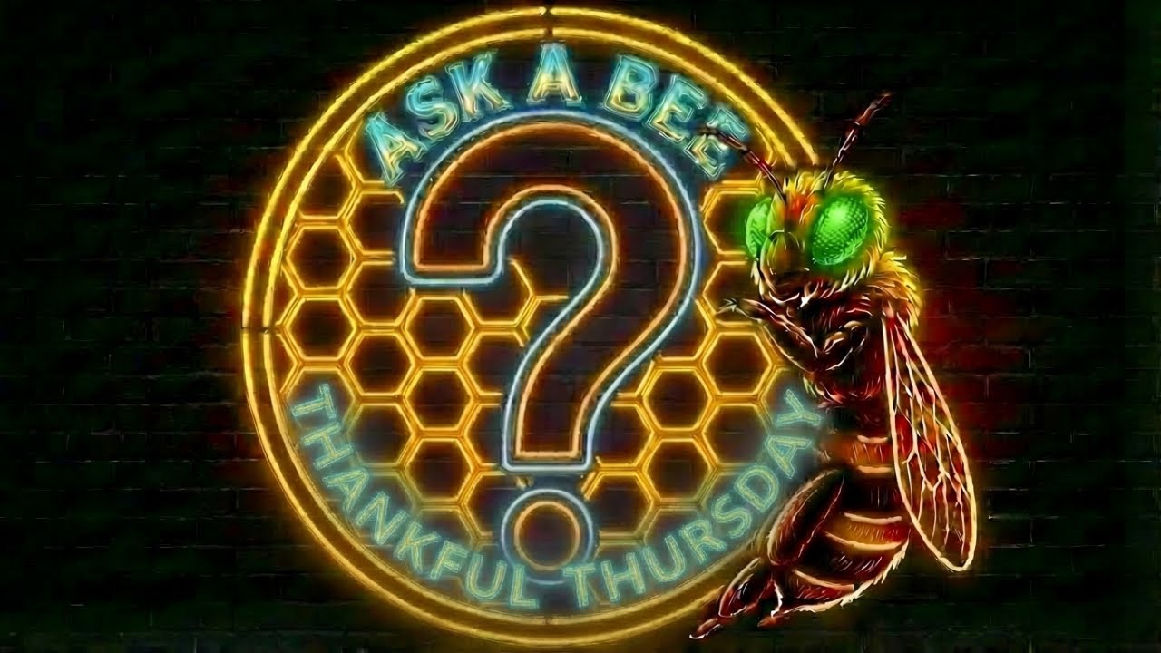 Ask A Bee — Am I Wrong Here? #AITA #REPLAY #BBTV