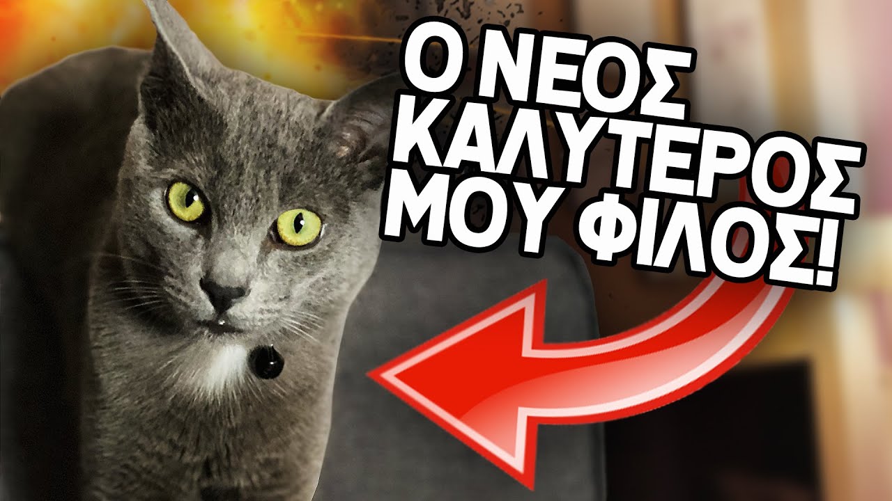 Ο ΝΕΟΣ ΚΑΛΥΤΕΡΟΣ ΜΟΥ ΦΙΛΟΣ!