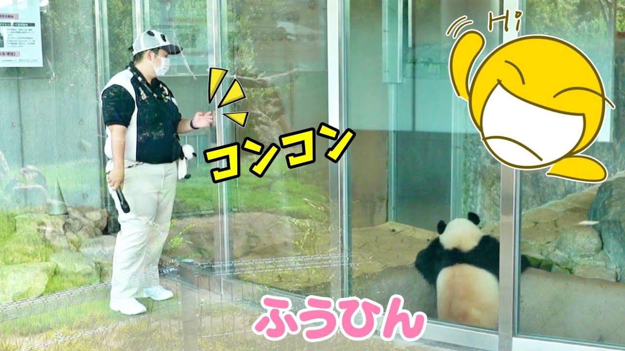 パンダふうひん😍大好きな飼育員さんのア•イ•シ•テ•ル💖のサインで本気だすwww