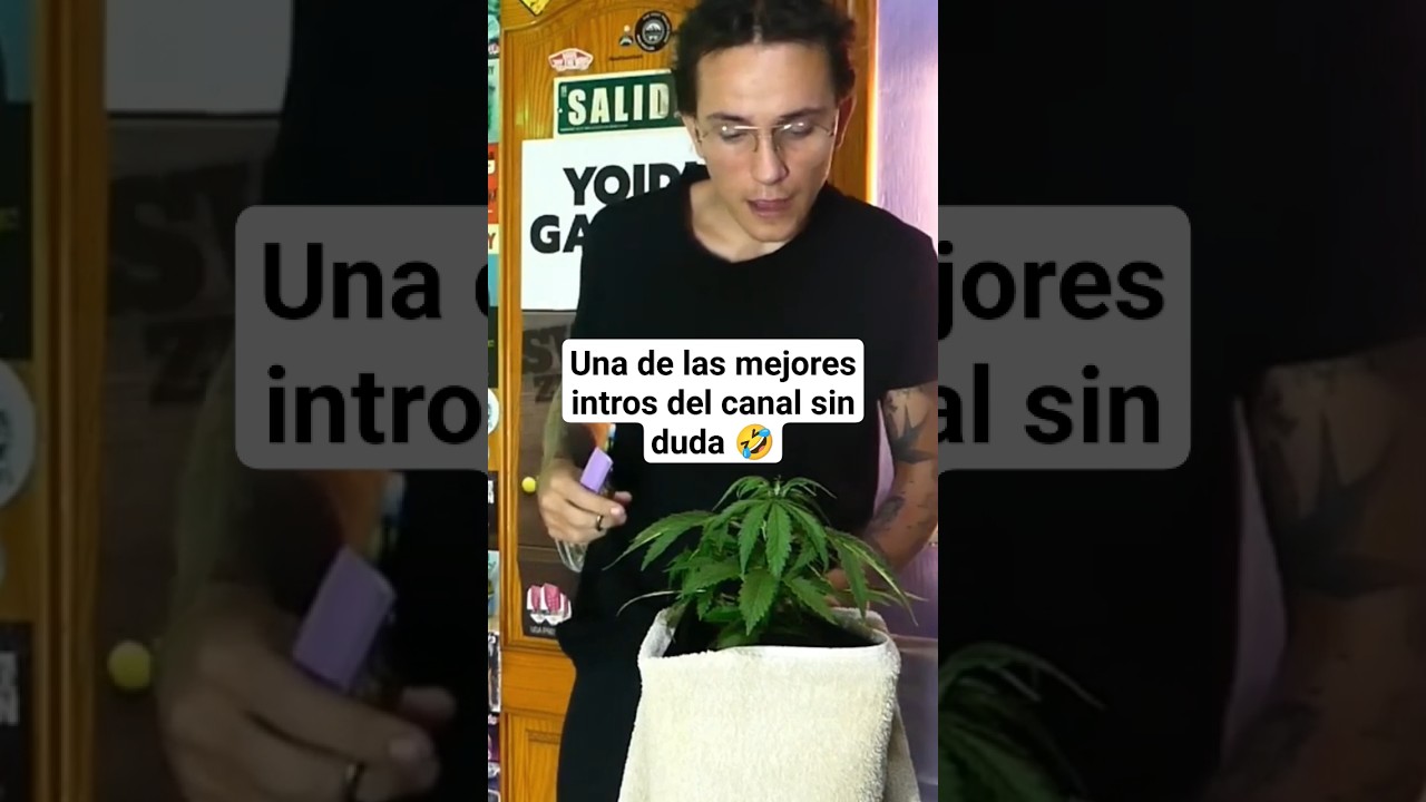 Yoidi Ganjah Barber con su clienta Mar&iacute;a que quiere un corte apical 🍁✂️💈🤣 #humor